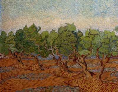 Olivenhain von Vincent van Gogh